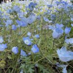 Thumbnail of post image 182