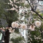 Thumbnail of related posts 150