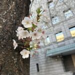 Thumbnail of post image 104